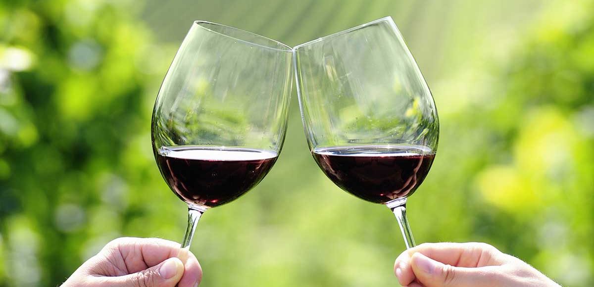 vino pugliese degustazione