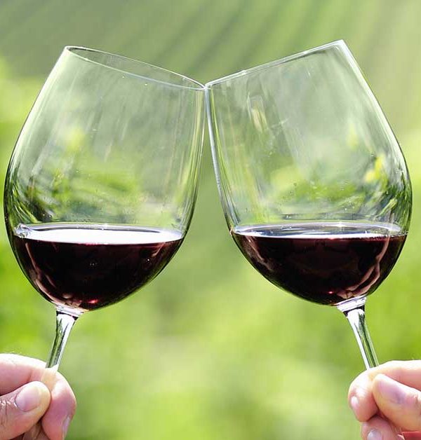 vino pugliese degustazione