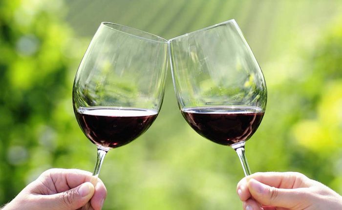 vino pugliese degustazione