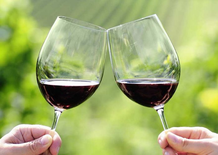 vino pugliese degustazione