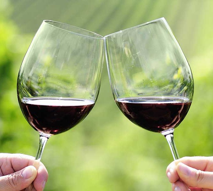 vino pugliese degustazione